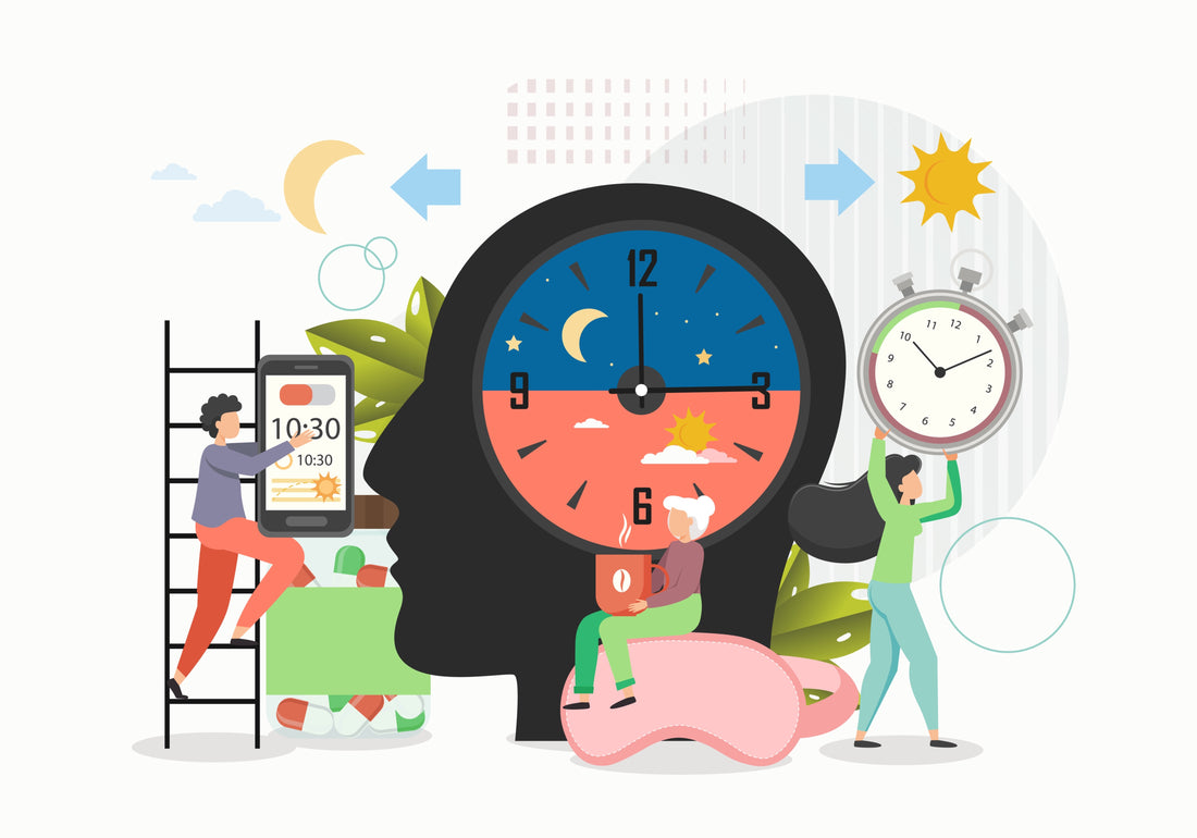 Hva er din kronotype?