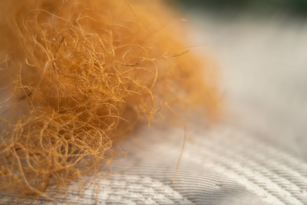 Kokosnøtt fiber – Vår kjernevenn
