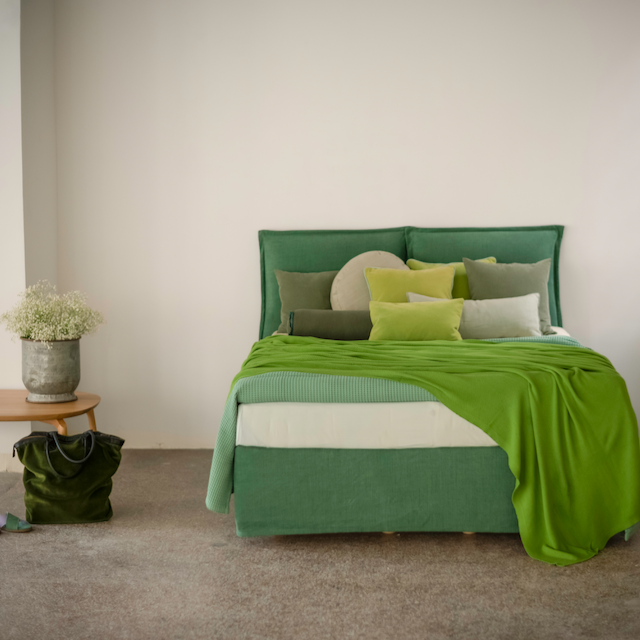 Solid Kontinentalseng