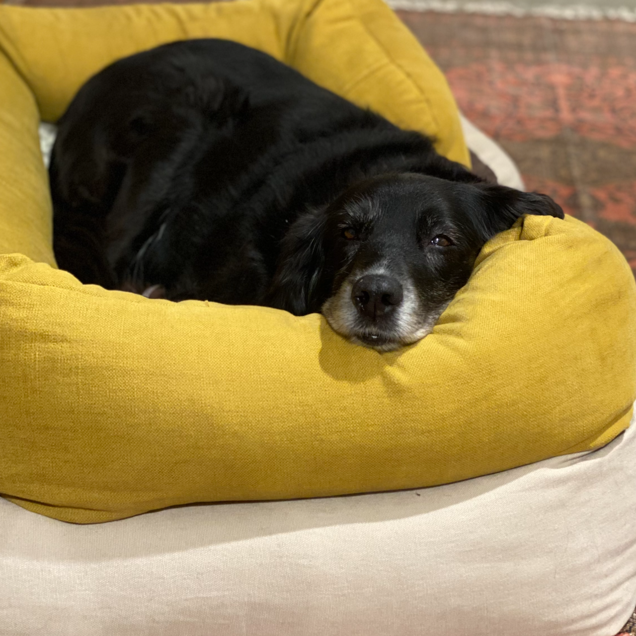 Hundeseng av naturmaterialer