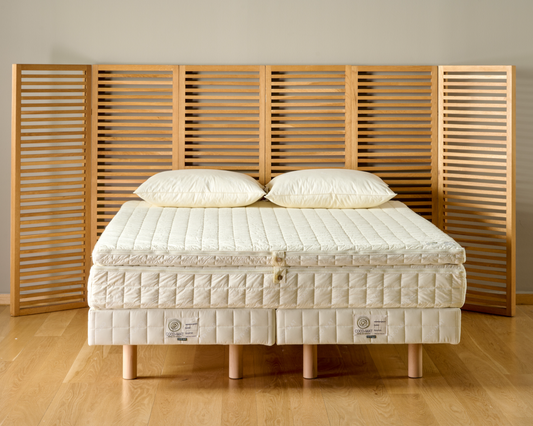 Solid Kontinentalseng